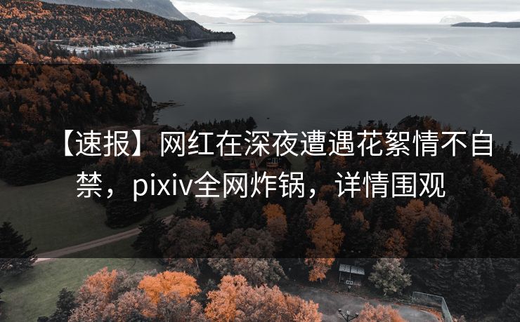 【速报】网红在深夜遭遇花絮情不自禁，pixiv全网炸锅，详情围观