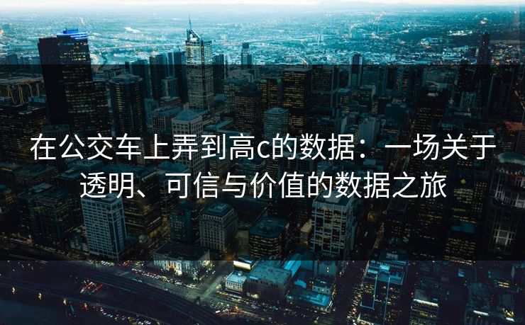 在公交车上弄到高c的数据:一场关于透明、可信与价值的数据之旅 在公交车上弄到高c的数据:一场关于透明、可信与价值的数据之旅